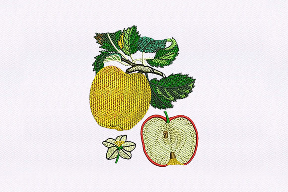 Apple and Half Apple: A Craft Fair Embroidery Review