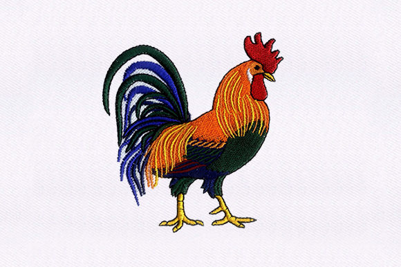 Brahma Chicken: A Colorful Embroidery Review