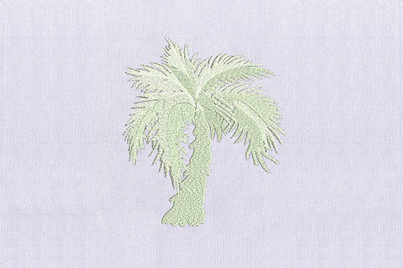 Light Tree: A Designer Review for Sweatshirts
