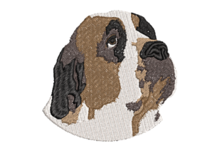 Realistic Saint Bernard: A Designer’s Sweatshirt Review